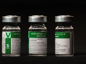 Aplicação da vacina da dengue do Butantan começará a partir do dia 17