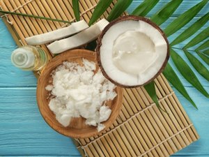 Instalação de nova indústria em Alagoas vai gerar 600 empregos