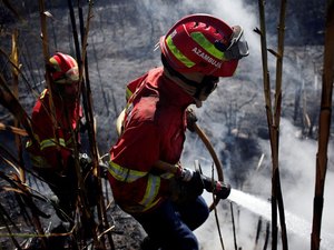 Portugal aumenta nível de alerta por altas temperaturas