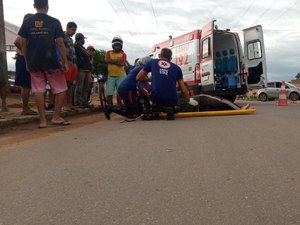 Motociclista colide em cachorro e fica ferido em Arapiraca