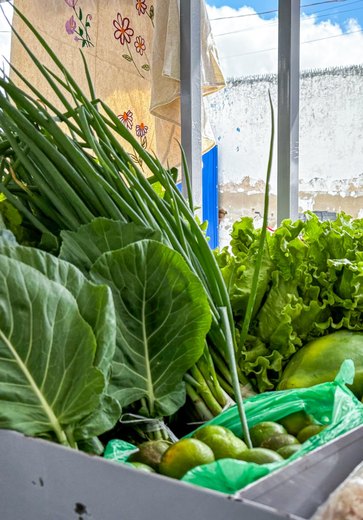 Feira da Agricultura Familiar e Economia Solidária em União dos Palmares está com inscrições abertas