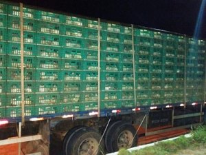 Sefaz autua 7 mil frangos transportados clandestinamente