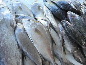 Bares e restaurantes vão à Justiça contra ‘imposto esquecido’ sobre peixe em SP