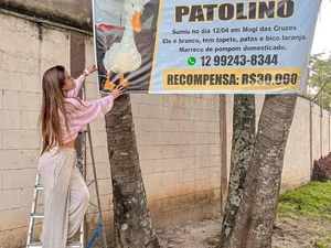 Influenciadora oferece recompensa de R$ 30 mil para quem encontrar pato de estimação