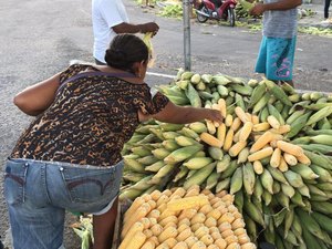 [Vídeo] Milho começa a ser comercializado em Arapiraca por R$25 a mão