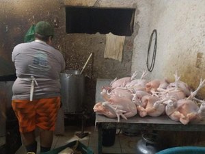 Operação apreende 278 aves vivas em avícola que funcionava de forma irregular