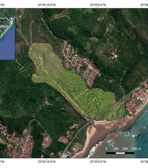 Relatório aponta situação das áreas de mangue em Alagoas