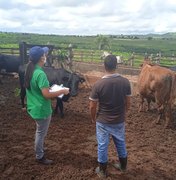 Produtores rurais e criadores receberão apoio do município para escrituração de rebanhos