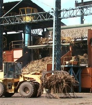 Sem chuva, quebra de produção será maior na safra de cana 15/16 em AL