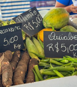 Feira da Agricultura Familiar em Murici terá participação de produtores de oito municípios