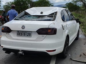 Animais soltos na AL 220 provocam acidente em Major Izidoro