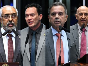 Novo Desenrola aguarda comissão mista, e divide opiniões no Senado