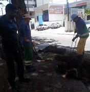 Prefeitura executa desobstrução de galeria na Sandoval Arroxelas