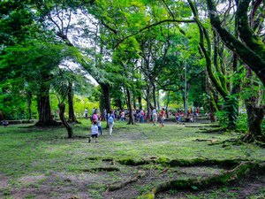 Evento no Parque do Horto une saúde, inclusão e meio ambiente
