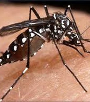 Fiocruz PE descobre substância capaz de bloquear o zika vírus
