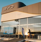 BYD Dolphin Mini lidera emplacamentos e é o carro de passeio mais vendido em AL