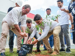 Tree Cities: Arapiraca recebe selo de sustentabilidade da ONU por segundo ano consecutivo