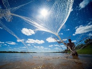 Ufal e Governo do Estado se unem para elaborar plano de desenvolvimento da pesca