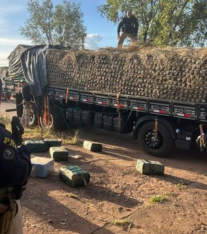 PRF apreende quase meia tonelada de cocaína em caminhão carregado com abacaxi