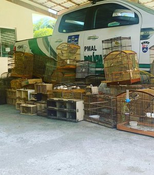 Batalhão Ambiental resgata 208 pássaros silvestres em Maceió e no interior