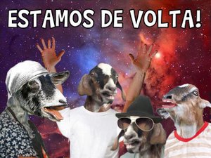 Bode Gaiato comemora retorno da página no Facebook