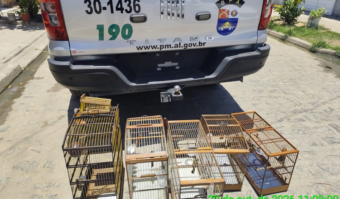 Polícia Militar resgata mais de 100 aves silvestres em operação no litoral Sul
