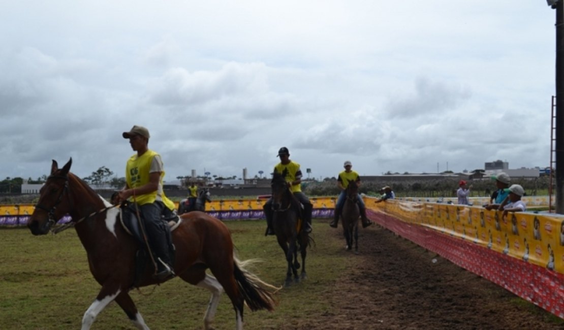 Coringa marca presença em Exposição de Cavalos