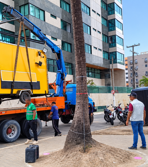 Prefeitura remove trailer na Ponta Verde após denúncias de perturbação do sossego