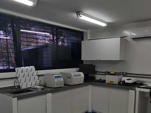 Pesquisadores da Ufal vão ajudar na realização de testes de covid-19