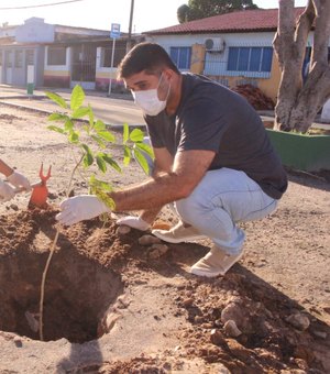 Maceió+Verde inicia plantio de mudas de árvores em Ipioca