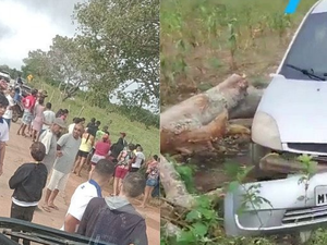Foragido responsável por atropelamento de estudantes em Serra das Pias diz que vai se entregar à polícia