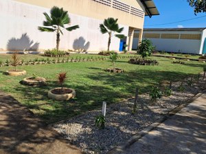 Cerca viva, paisagismo e iluminação de baixo custo transformam Campus Arapiraca