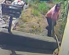Homem é flagrado agredindo cachorro com pedaço de madeira em Arapiraca