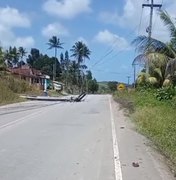 [Vídeo] Árvore e poste de energia desabam na AL 460, em Porto de Pedras