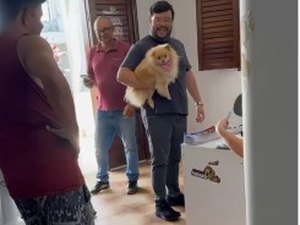 Cadela Love é devolvida à família, em Arapiraca