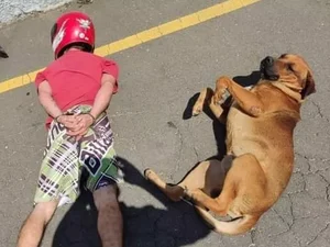 Cão deita ao lado de suspeitos durante abordagem policial no Paraná, e foto viraliza