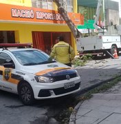 Trânsito é interditado para retirada de árvore no Centro de Maceió 