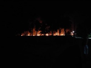 Incêndio em sítio assusta moradores de Japaratinga