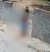 Cadela é resgatada com pata fraturada após caso de maus-tratos em Maceió