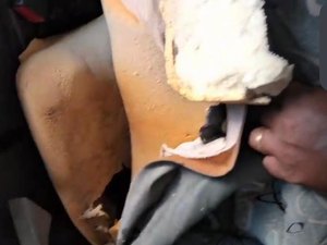 Vândalos destroem ônibus do programa Caminhos da Universidade em Palmeira dos Índios