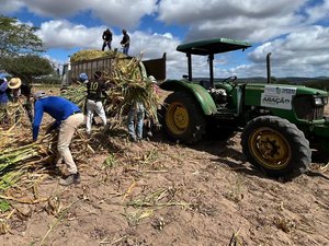 Programa Municipal de Produção de Silagem beneficia produtores em Santana do Ipanema
