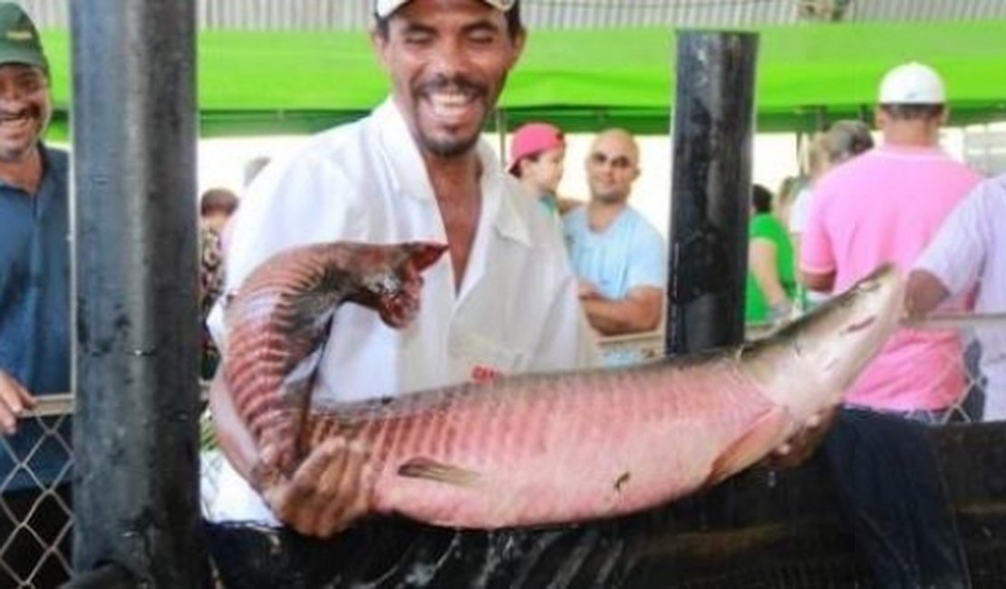 Terceira edição da Feira do Peixe Vivo de Maceió é adiada