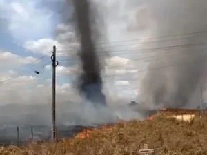 Fogo atinge vegetação às margens de rodovia na zona rural de Arapiraca