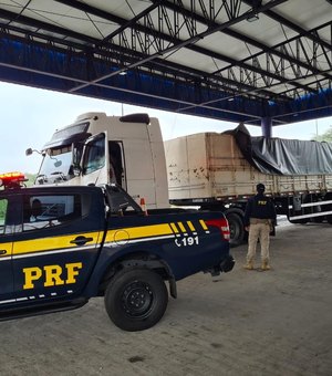 PRF flagra motorista transportando madeira ilegal em Canapi ; carga foi apreendida