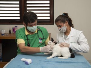 Mais de 100 gatos são vacinados em campanha no bairro do Pinheiro