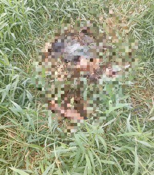 Ossada humana é achada em terreno na zona urbana de Matriz de Camaragibe