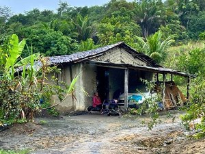 MPF e DPU cobram construção urgente de casas para indígenas Wassu Cocal em Alagoas