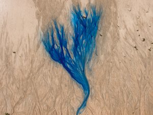 Fundação Pierre Chalita inaugura segundo ato da exposição 'Monção', da artista alagoana Eva Le Campion