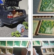 Maior traficante de aves silvestres do país é condenado a 18 anos de prisão