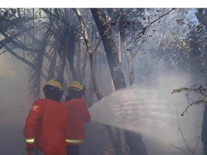 Fogo em vegetação se aproxima de residência em Japaratinga
